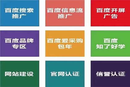 百度竞价推广案例：打造品牌影响力